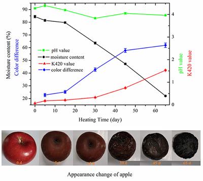 Changes in Physicochemical Properties, Volatile Profiles, and Antioxidant Activities of Black Apple During High-Temperature Fermentation Processing